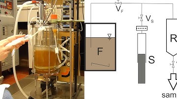 Sampling from a laboratory scale bioreactor