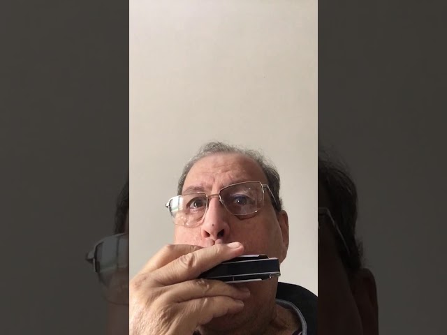 Intrumental Entry | Hari Krishan Ganjoo 8 | Pune, India