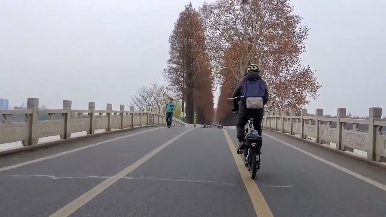 武漢東湖(一) Wuhan East Lake (I)