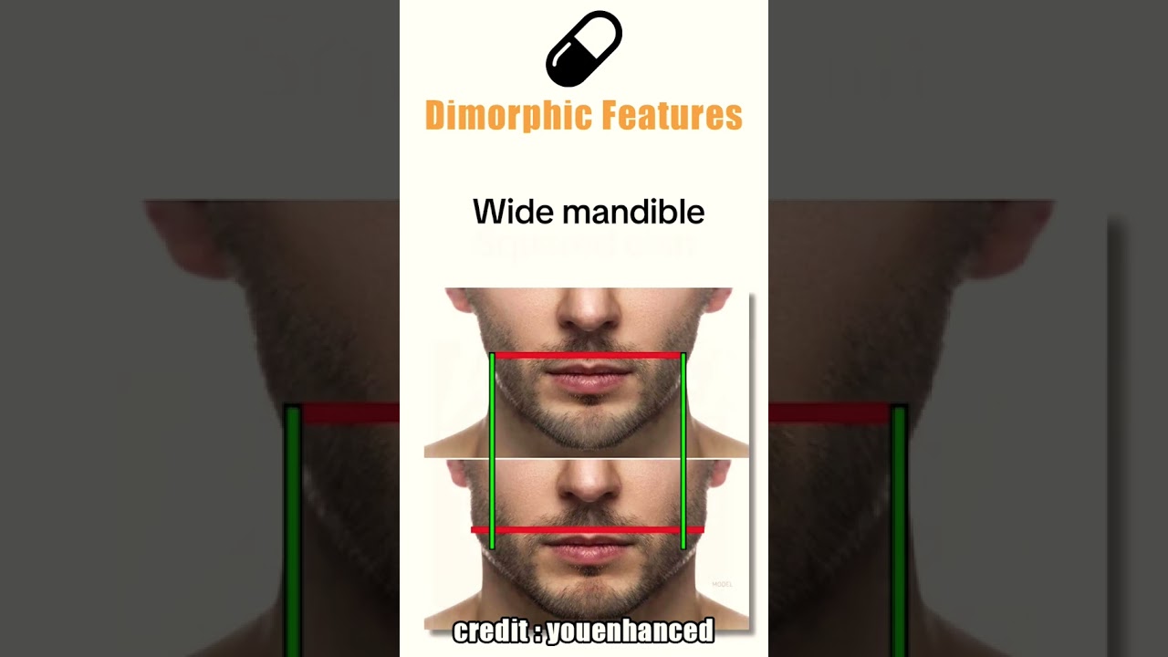 5 главных диморфных признаков самцов (blackpill) 
