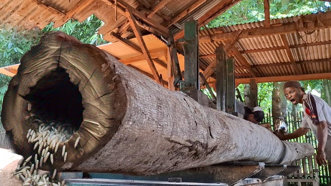 seconds before the most expensive wood worth one million US dollars was ...