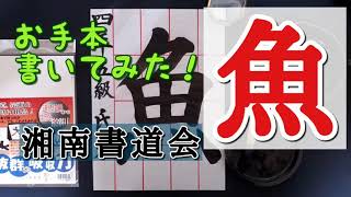 【魚】習字・書道・書き初めのお手本　湘南書道会