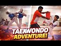 Taekwondo Kids in Action 🥋 | Epic Fights & Board Breaking Adventure!