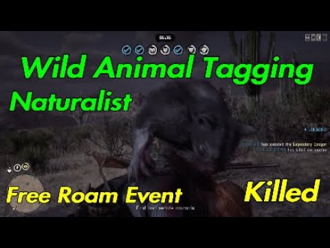 RDR2 Online Wild Animal Tagging | Naturalist Role Free Roam Event