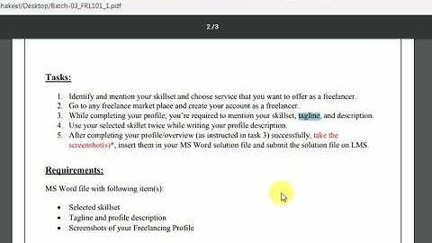Freelancing Exercise No 1 Solution | Digiskills Freelancing Assignment No 1
