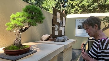 Joni Greathouse on Connie Raphael