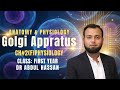 Golgi Apparatus in Physiology: Structure, Functions and Clinical Significance