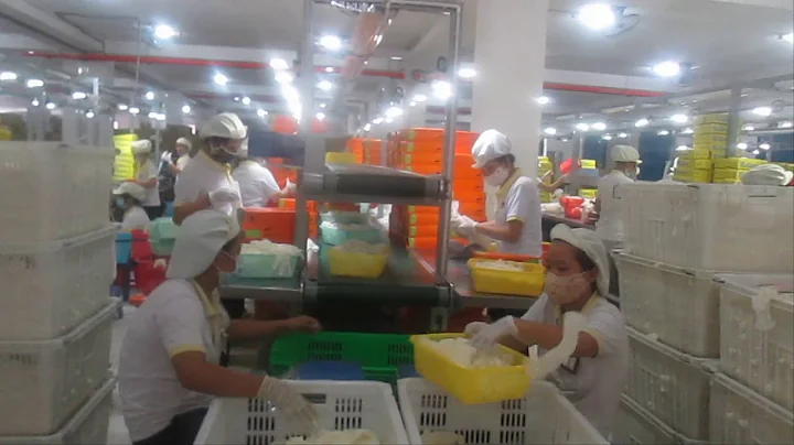 OWTEK Conveyor - two levels conveyor