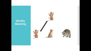 Ch. 19 Equivalence-Based Instruction (EBI)