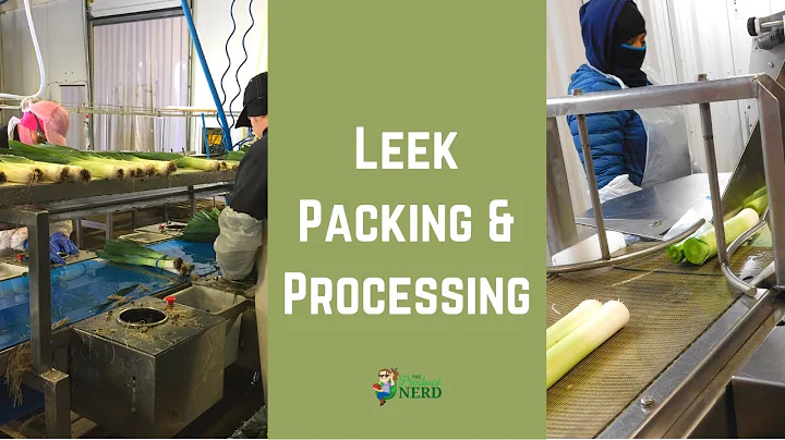 Leek Packing & Processing