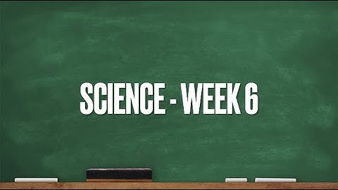 CC Cycle 1 Week 6 Science