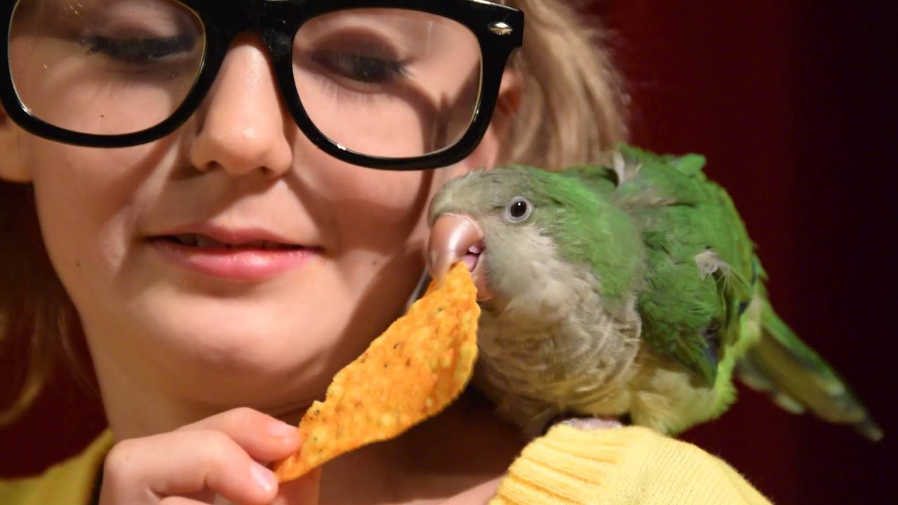Bird Girl - YouTube