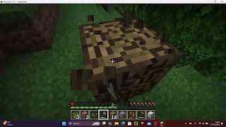 Minecraft Java Edition Episode 4