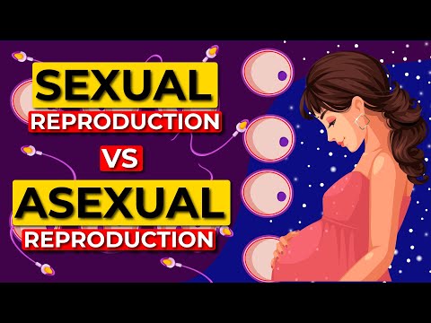 Video: Ano ang ibig sabihin ng asexual reproduction?