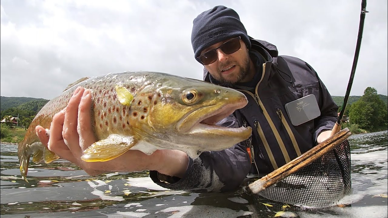 Z muchówką w ręku 2025. Dunajec pełen życia.