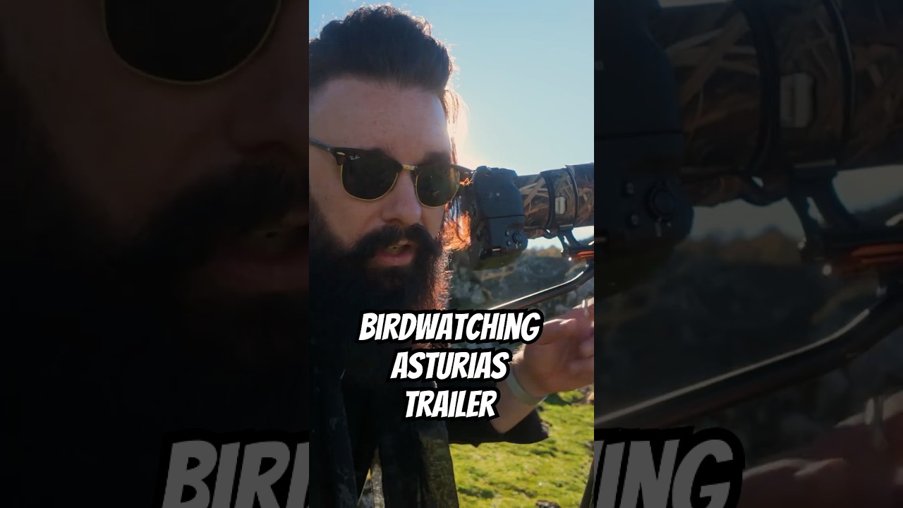 Birdwatching Asturias Trailer - Black Woodpecker, Lammergeier, Golden Eagle!
