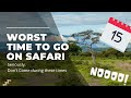 Worst time to go on safari seriously avoid these times