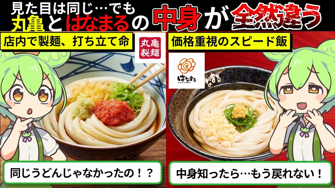 【衝撃】うどんチェーン戦争勃発！丸亀製麺とはなまるうどんの決定的な違いとは？【ずんダネ】【ずんだもん】【ゆっくり解説】