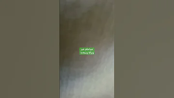 يقول المثل الي مايعرف الصقر يشويه 