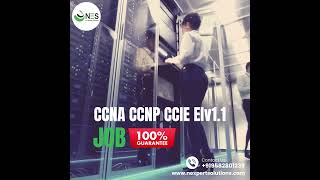 Ccna Ccnp Ccie Ei V1.1 Training By Net Expert Solutions 5Xccie Certified Trainer Certification