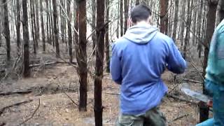 Kácení Májek Chasa Lužice