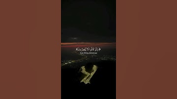 تلاوه هادئة تريح الأعصاب 🎧😴ارح سمعك القارئ :مصطفى جبل