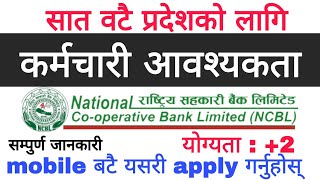 national cooperative bank vacancy 2077 | loksewa vacancy 2077