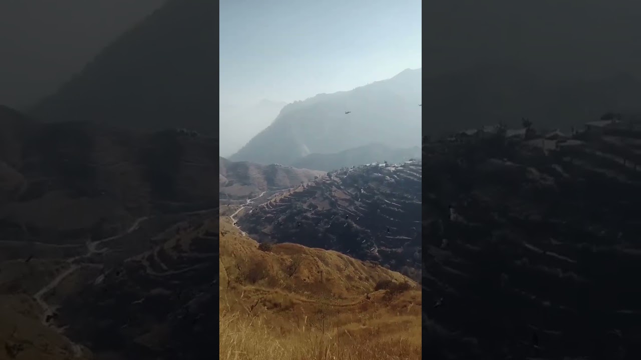 इतने सारे बाज़ कहां से आ गए हमारे गांव में🤔🤔🤔🥺