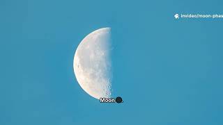 Moon Phases in September 2025 🌙 | Full Moon, New Moon & Lunar Eclipse (Blood Moon)