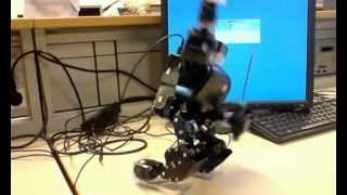 RoboBuilder sword moves!