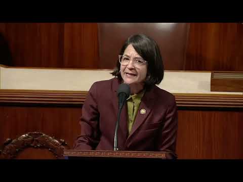 Rep. Balint gives floor speech on hours-long detention of Vermonter and US citizen Wilmer Chavarria