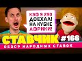 СТАВЧИК #166 | Обзор народных ставок | Кэф 9290 на Кубке Африки, летний экспресс с кэфом 1192