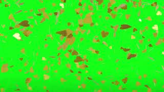 Футаж для видеомонтажа Падающие золотые Сердечки на зеленом фоне Хромакей hd