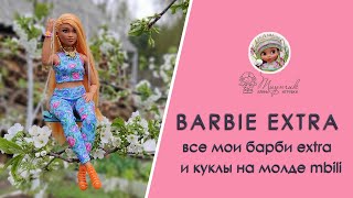 Barbie Extra. Все мои куклы Барби Экстра и куклы на молде mbili. Встречаем новенькую.
