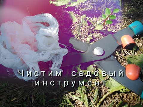 Видео: Очистка садовых инструментов - Как чистить садовые инструменты