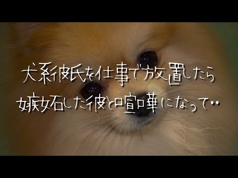 【女性向け】バイトが忙しすぎて年上犬系彼氏を放置していたら嫉妬した彼氏と喧嘩になる【シチュエーションボイス/睡眠導入/ロールプレイ/低音/嫉妬/塩対応】 #asmr