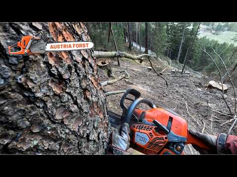 High-Speed Logging on a Steep Slope