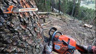 Akkord Holzfällen im Steilhang