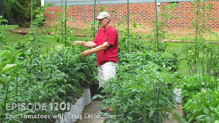 Growing a Greener World Episode 1201 - Epic Tomato...