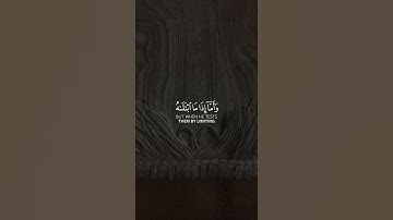 {فَأَمَّا الإِنسَانُ إِذَا مَا ابْتَلاهُ رَبُّهُ فَأَكْرَمَهُ} سورة الفجر القارئ : ماهر المعيقلي 🍃