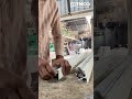 Window Cutting | Fitting Process | Aluminium Work | জানালা তৈরি প্রকৃয়া | #youtubeshorts #glasswork
