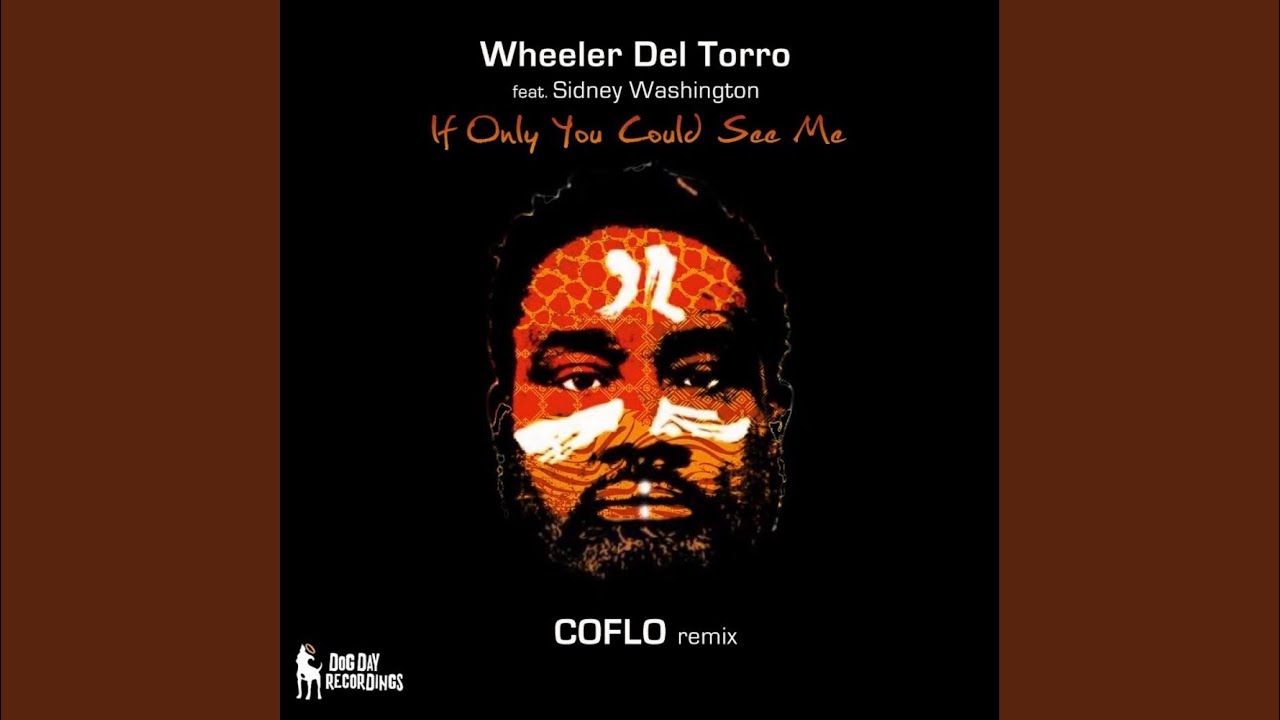 If Only You Could See Me (Coflo Remix)