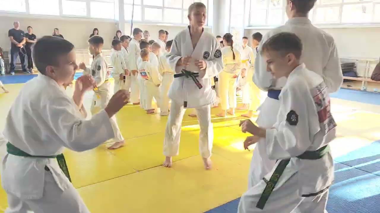 Фестиваль джиу-джитсу г. Омск 