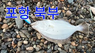 20250622 포항 서프루어낚시 / 플랫피싱 / 메탈지그