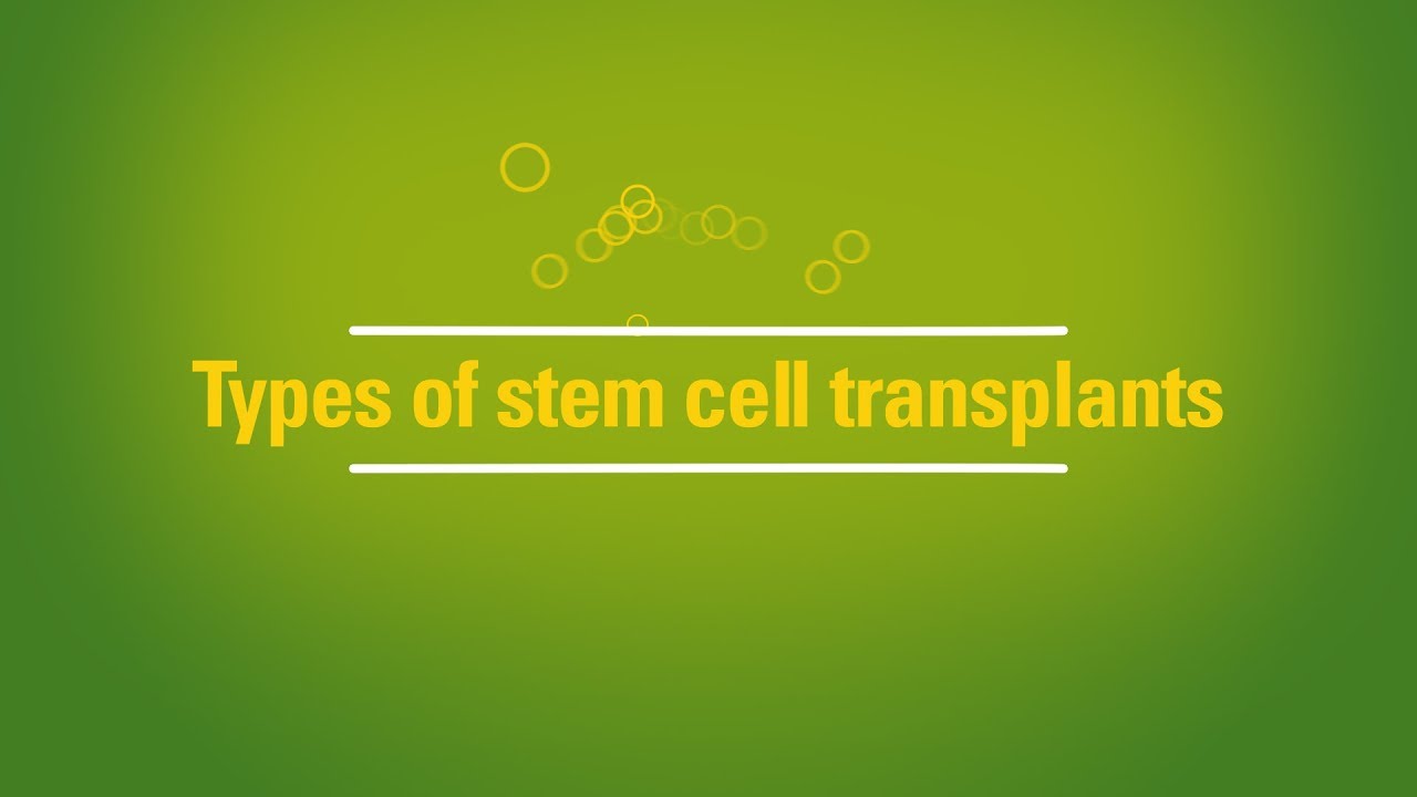 Multiple Myeloma Igg Lambda Stage 3 Scott S Story The Patient Story