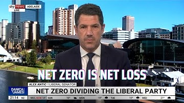 Net Zero Is Net Loss