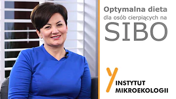 Jaké jsou základní druhy luštěnin?