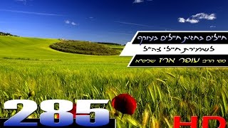 הרב עופר ארז - חיילים בחזית וחיילים בעורף (HD)