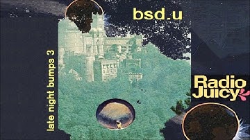 bsd.u  -  late night bumps 3