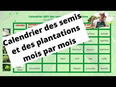 Vidéo: Quand Planter Des Poireaux Pour Les Semis En 2019: Dates Générales Et Calendrier Lunaire